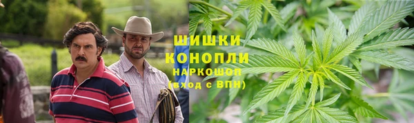 сатива Новодвинск