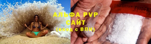 сатива Новодвинск