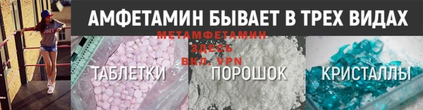 сатива Новодвинск