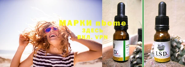mdma Новозыбков