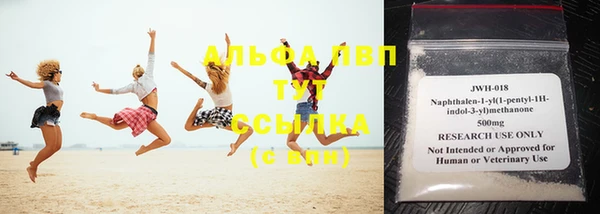 сатива Новодвинск