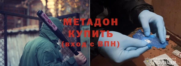 сатива Новодвинск