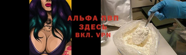 сатива Новодвинск