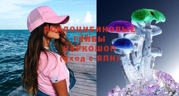 mdma Новозыбков