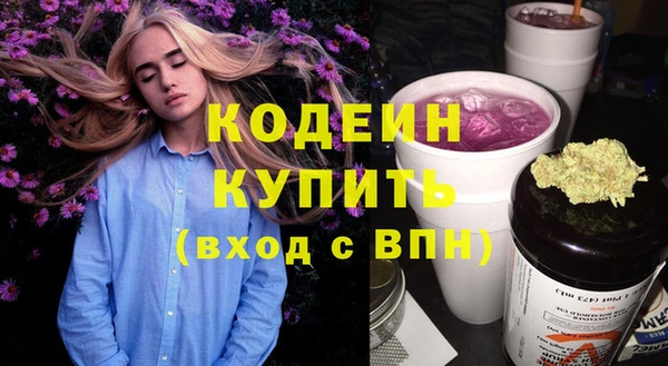 сатива Новодвинск