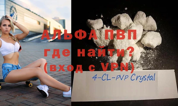 сатива Новодвинск