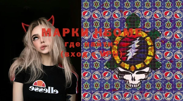 mdma Новозыбков