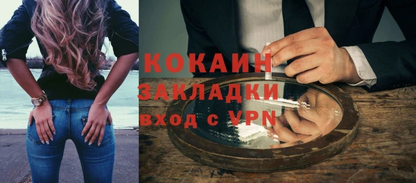 сатива Новодвинск