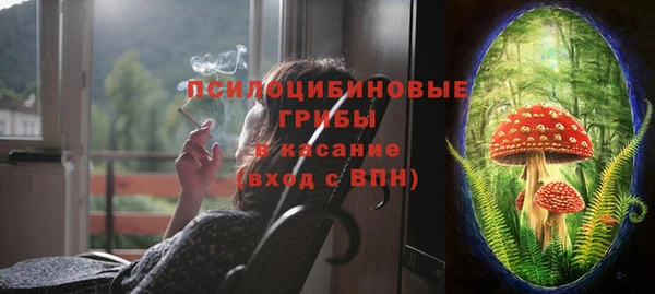 mdma Новозыбков