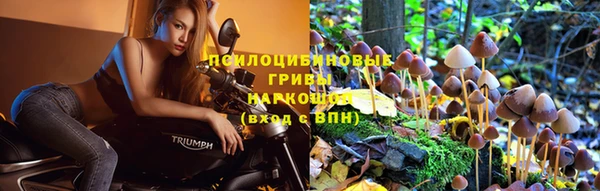 гидропоника Новокубанск