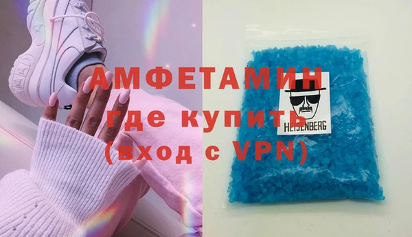 сатива Новодвинск
